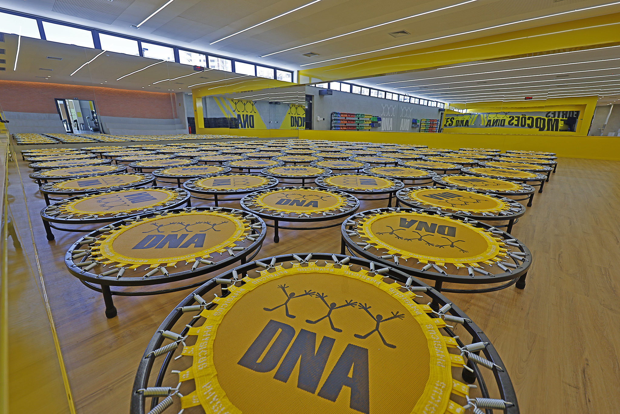 DNA Experience — fotografia 11